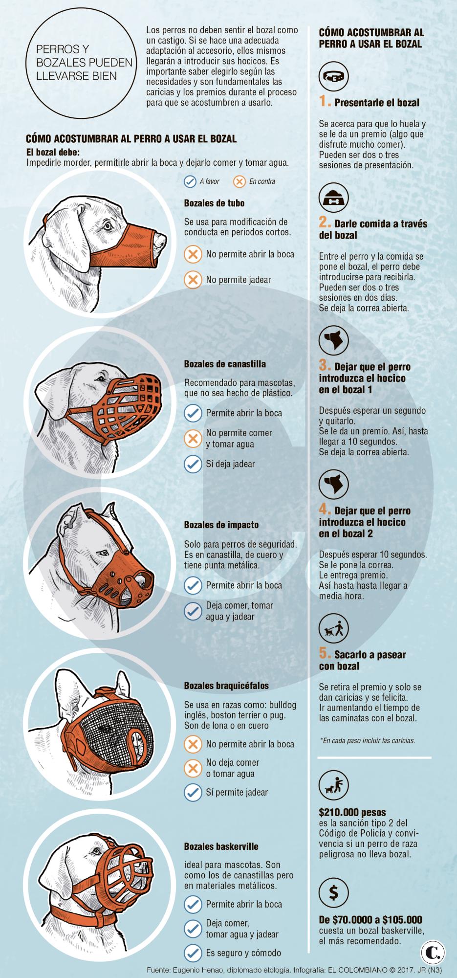 InfogrÃ¡fico