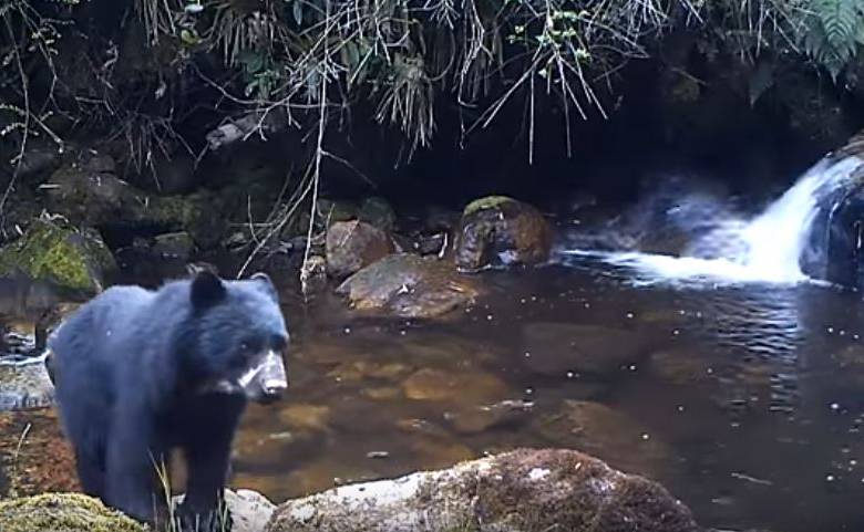 Foto tomada del video de Youtube de la Corporación Autónoma Regional de Cundinamarca. 