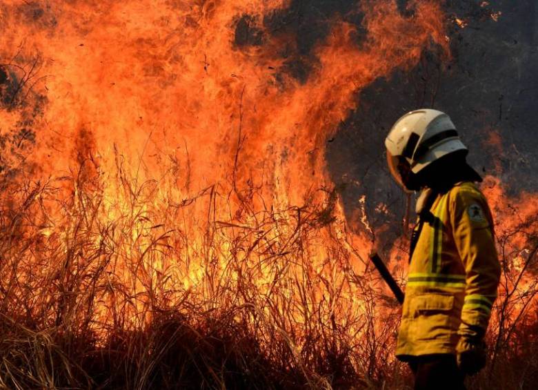 Tres incendios se presentan en los cerros de Cali. FOTO: El País / Colprensa