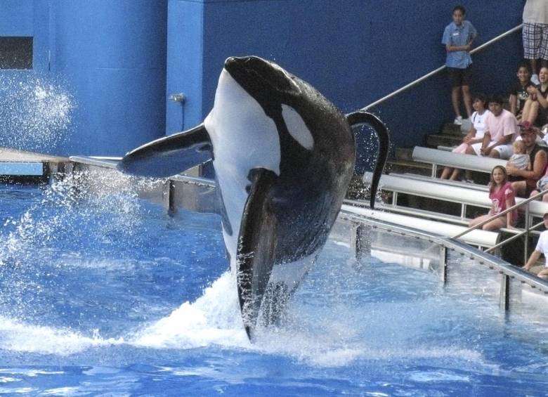 FOTOs Reuters y AP
