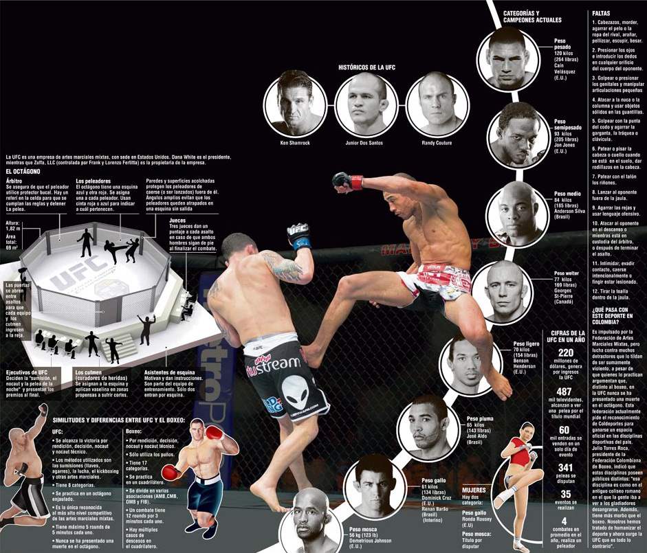 InfogrÃ¡fico