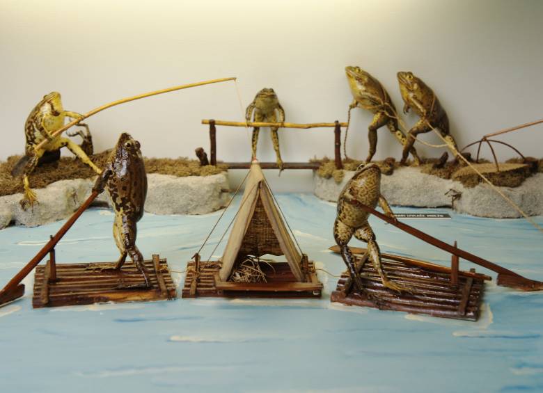 Froggyland, el curioso museo de las ranas