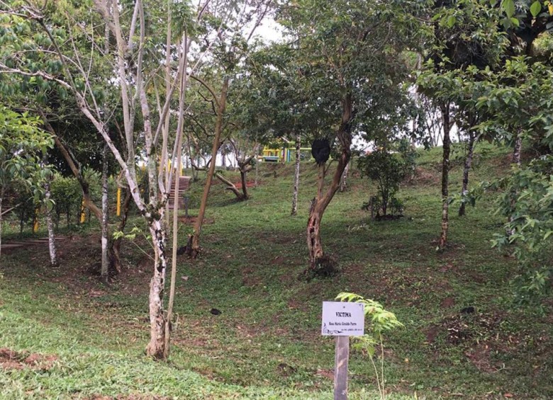 $!En Granada, Antioquia, ya tienen su bosque de paz