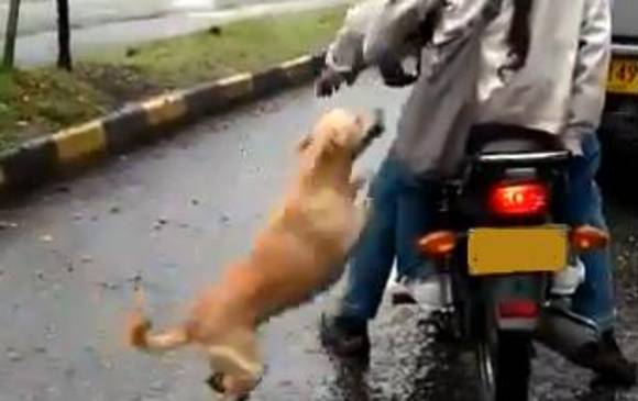 FOTO: CAPTURA VÍDEO