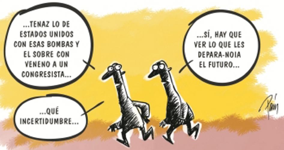 InfogrÃ¡fico