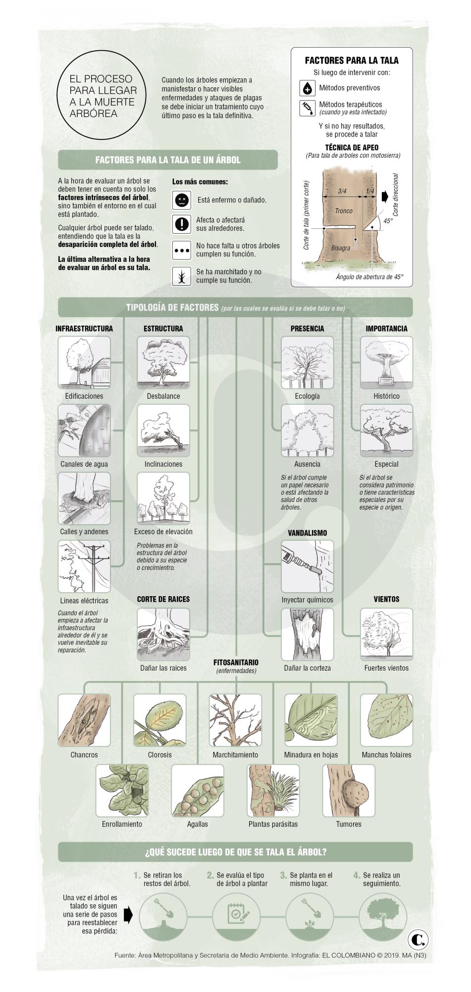 InfogrÃ¡fico