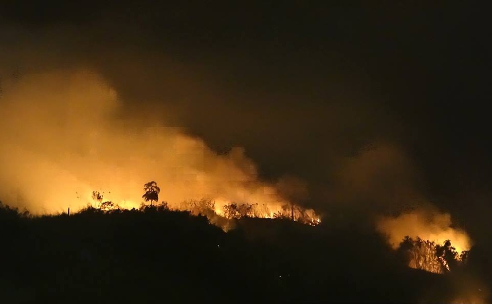 En lo que va corrido del año en Medellín se han presentado 414 incendios forestales, de los cuales 53 han ocurrido este mes. FOTO Carlos Andrés Ruiz