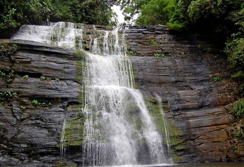 El parque fue declarado en 1994 Sitio de Patrimonio Natural Mundial por la Unesco por su fauna y flora. FOTO cortesía parques