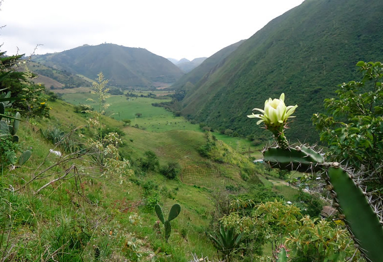Una de las reservas naturales del país. FOTO FUNDACIÓN AMBIENTE COLOMBIA