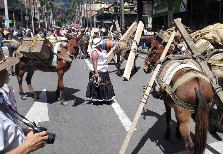 El desfile de arrieros de Envigado generó polémica con los animalistas. FOTO: CORTESÍA.