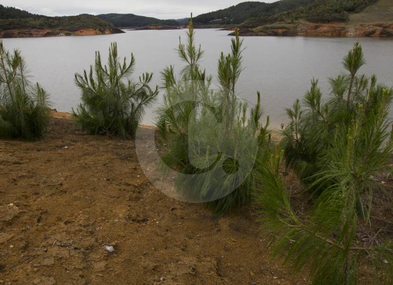 El embalse Riogrande II genera energía y agua para consumo del Valle de Aburrá. FotoS donaldo zuluaga