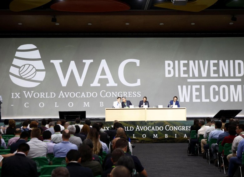 En Plaza Mayor Medellín se celebra el Congreso Mundial de Aguacate. Foto: EFE