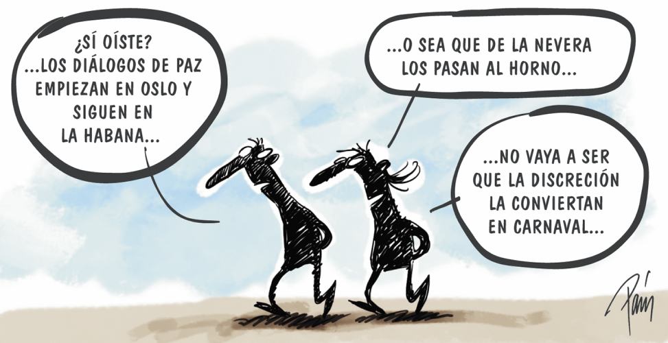 InfogrÃ¡fico