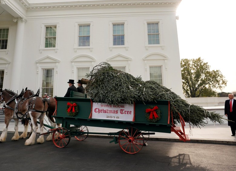 Trump recibe el árbol de Navidad y el pavo en la Casa Blanca 