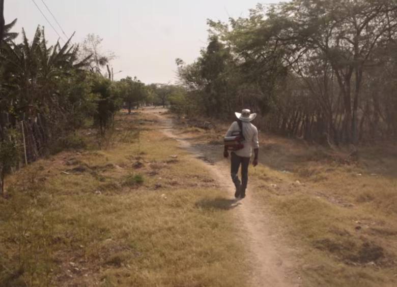 Carlos Vives y siete autores más lanzan la canción oficial del Festival de la Leyenda Vallenata de este año. FOTO: Pantallazo del video oficial de El sombrero de Alejo