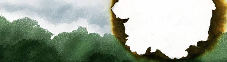 ILUSTRACIÓN ESTEBAN PARÍS