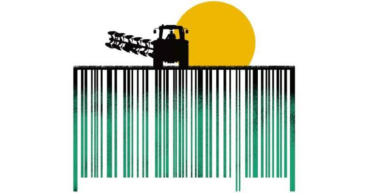 ILUSTRACIÓN ESTEBAN PARÍS