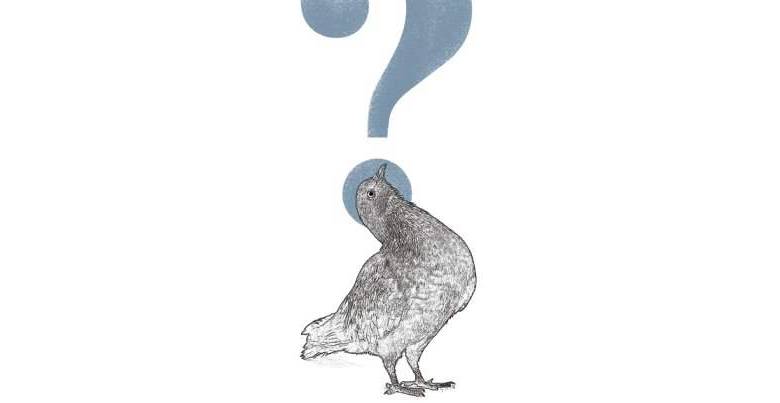 ILUSTRACIÓN ESTEBAN PARÍS