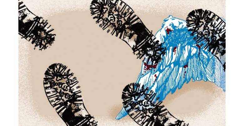 ILUSTRACIÓN ESTEBAN PARÍS