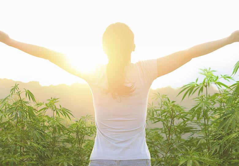Semana decisiva para el negocio de cannabis