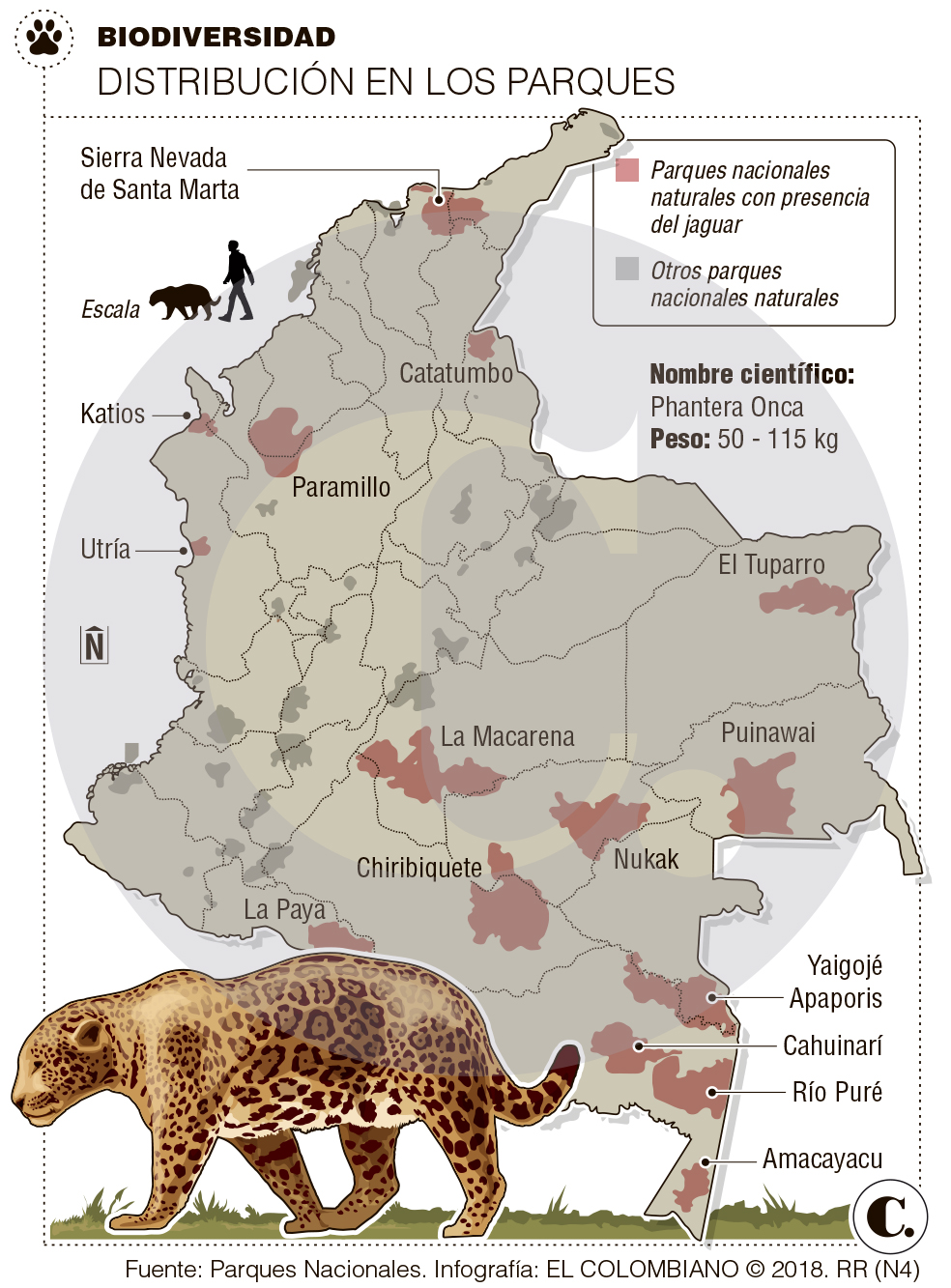 InfogrÃ¡fico