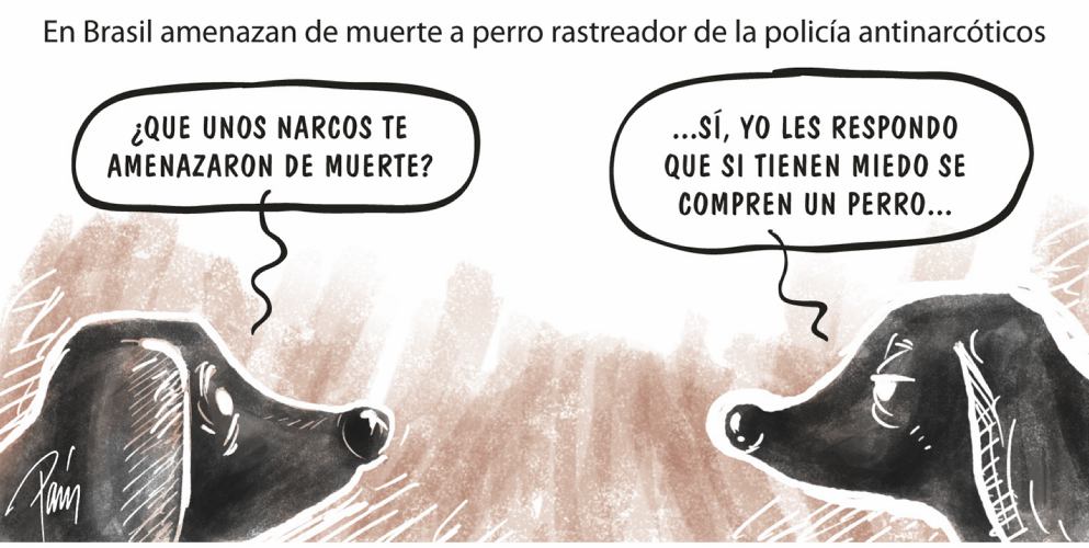 InfogrÃ¡fico