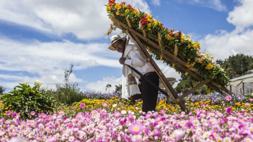 Toda la programación de la feria para este fin de semana