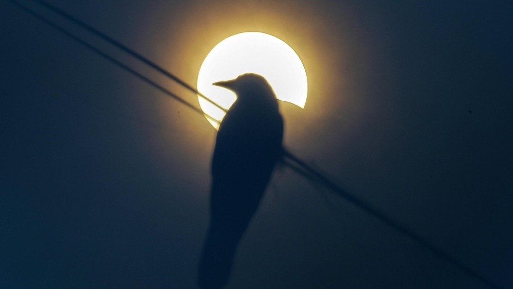 Una imagen tomada con una placa de rayos X como filtro muestra la silueta de un pájaro posado en un cable eléctrico mientras se observa un eclipse parcial de sol en el cielo nublado de las afueras de Mumbai (India), 21 de junio de 2020. FOTO EFE