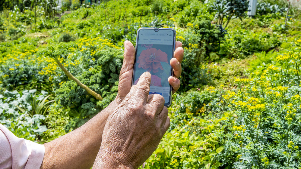 Líderes comunitarios y comerciantes empezaron a gestar iniciativas como: Conecta Santa Elena y Compra Local, dos proyectos que buscan promover el consumo local y garantizar la seguridad alimentaria de agricultores y emprendedores de la ciudad. FOTO JUAN ANTONIO SÁNCHEZ OCAMPO