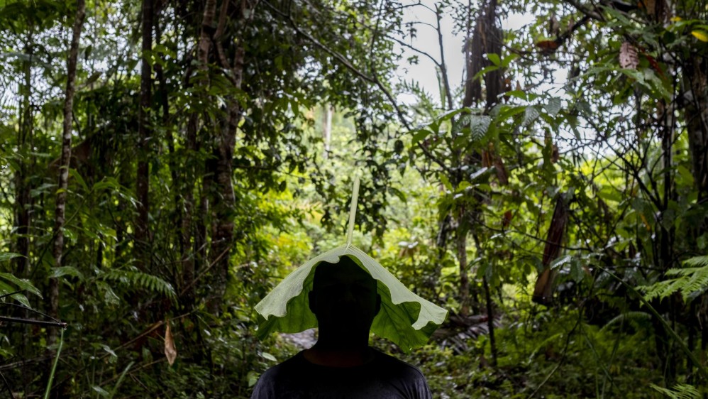 En el espeso monte del sur del país, la comunidad Ticuna de san Pedro de los Lagos viven sus días en medio de la naturaleza combinado con la tecnología. Foto: Santiago Mesa