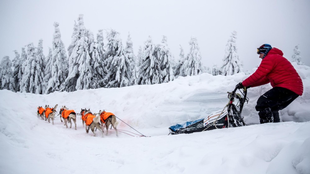La prueba, que transcurre a través de los caminos de las montañas Orlické Hory, es una de las más exigentes en su disciplina tanto para los mushers (pilotos) como para sus perros. Foto. Martin Divisek EFE