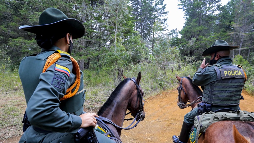 El Fuerte de Carabineros Arví tiene 40 caballos en su pesebrera, de las razas percherón. FOTO: Jaime Pérez