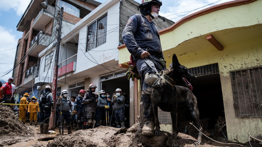 Los bomberos utilizan caninos para rastrear posibles sobrevivientes y cuerpos de las personas fallecidas en medio de los escombros. Foto: Andrés Cardona