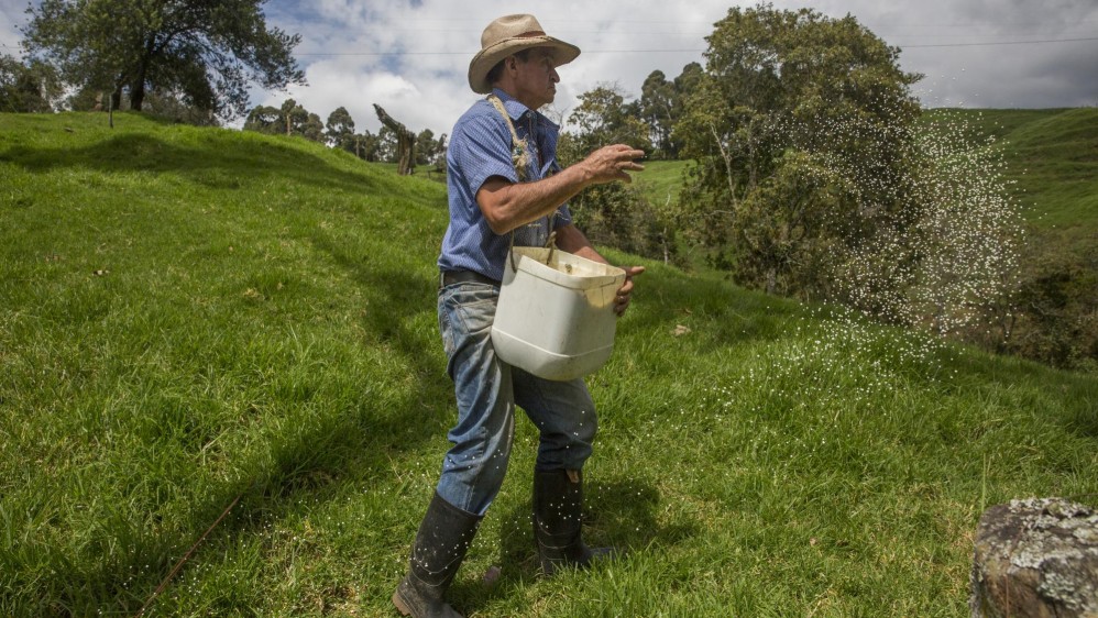 El lechero Gustavo Elías Mazo comienza las labores en el campo a primera hora de la mañana. Foto: Edwin Bustamante
