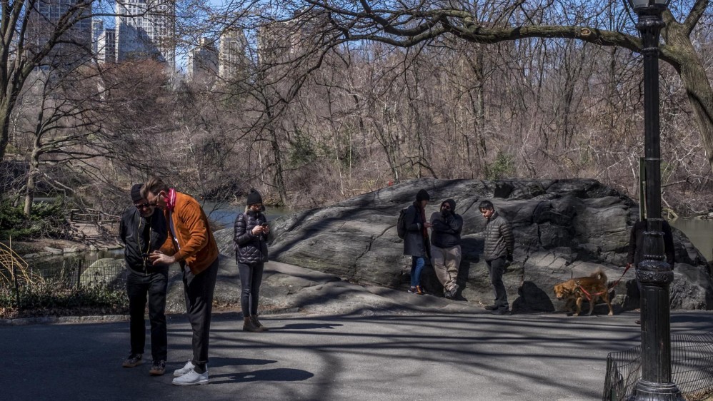 El Central Park es un parque urbano público situado en el distrito metropolitano de Manhattan, tiene forma rectangular 4000 x 800 mts y 37.5 millones de visitantes al año. Foto: Santiago Mesa