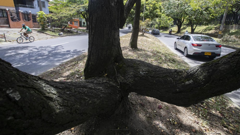 Con los anuncios de construcción del metro de la 80, ambientalista y vecinos del sector expresan inquietud por el impacto que tendrá sobre la conectividad ambiental en la zona. Foto: Manuel Saldarriaga Quintero