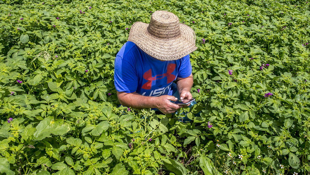 El programa se lanzó el pasado 15 de abril, y más de 12.000 personas estuvieron conectadas y compraron más de 120 mercados, lo que representa ventas superiores a $6 millones. FOTO JUAN ANTONIO SÁNCHEZ OCAMPO